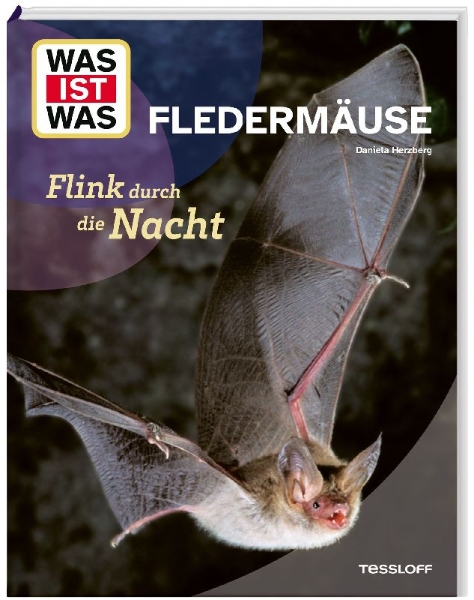 Buchcover und Innenansicht für das Buch: WAS IST WAS Fledermäuse. Flink durch die Nacht