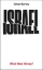 Buchcover und Innenansicht für das Buch: Israel: What Went Wrong?