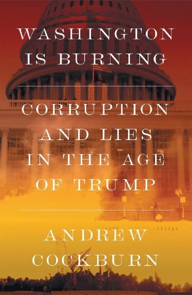 Buchcover und Innenansicht für das Buch: Washington Is Burning