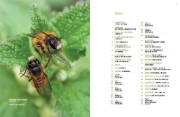 Buchcover und Innenansicht für das Buch: WILDBIENENHELFER