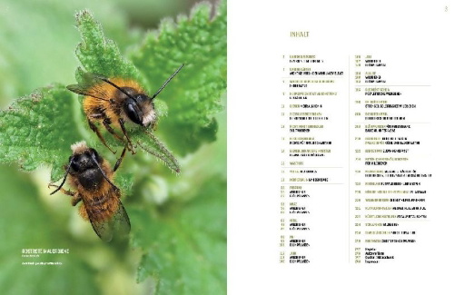 Buchcover und Innenansicht für das Buch: WILDBIENENHELFER