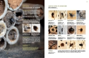 Buchcover und Innenansicht für das Buch: WILDBIENENHELFER