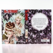 Buchcover und Innenansicht für das Buch: Dr. Stone