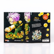 Buchcover und Innenansicht für das Buch: Dragon Ball Triple Edition