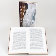 Buchcover und Innenansicht für das Buch: In The Distance