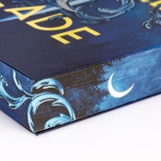 Buchcover und Innenansicht für das Buch: The Witches Blade
