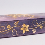Buchcover und Innenansicht für das Buch: Broadway Lights 1: Broken Shine