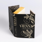 Buchcover und Innenansicht für das Buch: Vienna 2: Hiding Darkness
