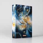 Buchcover und Innenansicht für das Buch: Air Awakens