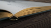 Buchcover und Innenansicht für das Buch: Wundervolle Welt der Tiere