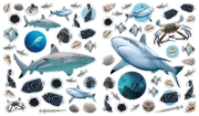 Buchcover und Innenansicht für das Buch: Eyelike Stickers: Ocean