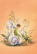 Buchcover und Innenansicht für das Buch: Postkartenbuch "Elfenträume"