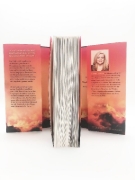 Buchcover und Innenansicht für das Buch: Too Late