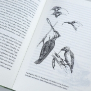 Buchcover und Innenansicht für das Buch: Improbable Destinies