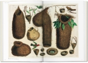Buchcover und Innenansicht für das Buch: Seba. Cabinet of Natural Curiosities