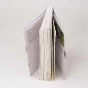 Buchcover und Innenansicht für das Buch: Eintauchen in den Wald