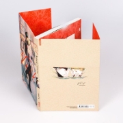 Buchcover und Innenansicht für das Buch: Veil