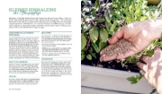 Buchcover und Innenansicht für das Buch: Mein kreativer Stadtbalkon - DIY-Projekte und Gärtnerwissen präsentiert vom Garten Fräulein