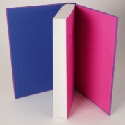 Buchcover und Innenansicht für das Buch: Bi: The Hidden Culture, History and Science of Bisexuality