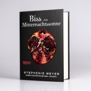Buchcover und Innenansicht für das Buch: Midnight Sun