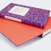 Buchcover und Innenansicht für das Buch: Das Schöne