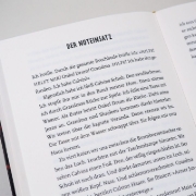 Buchcover und Innenansicht für das Buch: The Truth as Told by Mason Buttle