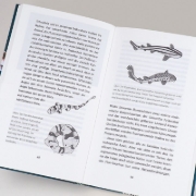 Buchcover und Innenansicht für das Buch: Wenn Haie leuchten