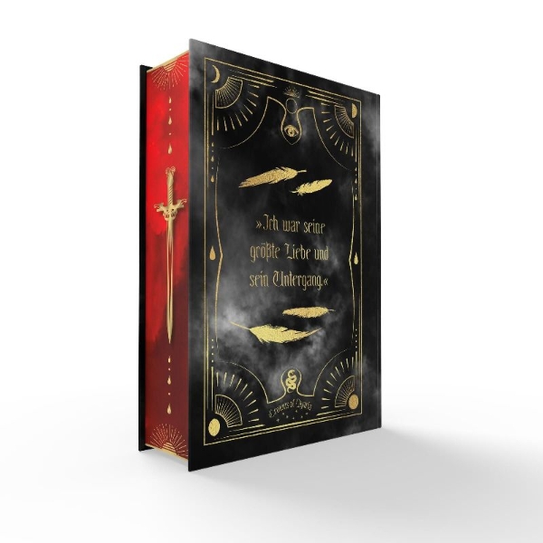 Buchcover und Innenansicht für das Buch: The Ashes and the Star-Cursed King