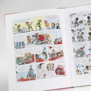 Buchcover und Innenansicht für das Buch: Le cas Lagaffe