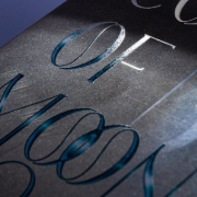 Buchcover und Innenansicht für das Buch: These Twisted Bonds
