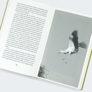 Buchcover und Innenansicht für das Buch: Move!