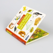 Buchcover und Innenansicht für das Buch: Mein kleines buntes Bildwörterbuch: Tiere im Park und im Garten