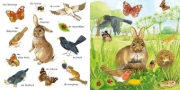 Buchcover und Innenansicht für das Buch: Mein kleines buntes Bildwörterbuch: Tiere im Park und im Garten