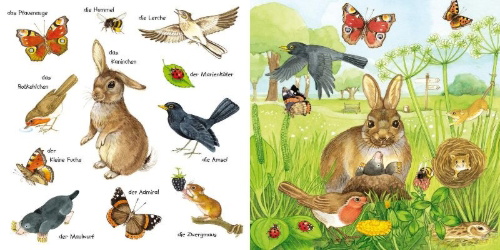 Buchcover und Innenansicht für das Buch: Mein kleines buntes Bildwörterbuch: Tiere im Park und im Garten