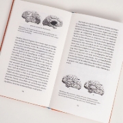 Buchcover und Innenansicht für das Buch: Feeling and Knowing