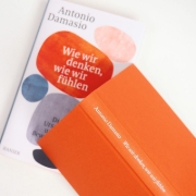 Buchcover und Innenansicht für das Buch: Feeling and Knowing