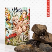 Buchcover und Innenansicht für das Buch: Dr. Stone