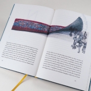 Buchcover und Innenansicht für das Buch: Dizionario inesistente