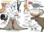 Buchcover und Innenansicht für das Buch: Das Liebesleben der Tiere