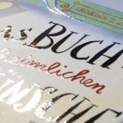 Buchcover und Innenansicht für das Buch: Das Buch der (un)heimlichen Wünsche 3: Filmstar gesucht