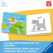 Buchcover und Innenansicht für das Buch: Wie klingt deine Welt?