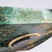 Buchcover und Innenansicht für das Buch: Moonlight Academy. Feenzauber