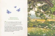 Buchcover und Innenansicht für das Buch: Wiesenwald