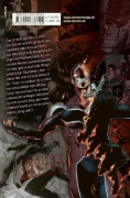 Buchcover und Innenansicht für das Buch: Vigilante: Boku no Hero Academia Illegals