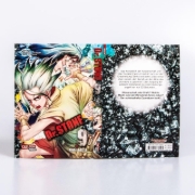 Buchcover und Innenansicht für das Buch: Dr. Stone
