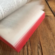 Buchcover und Innenansicht für das Buch: Eclipse