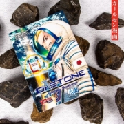 Buchcover und Innenansicht für das Buch: Dr. Stone Reboot: Byakuya
