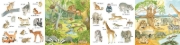 Buchcover und Innenansicht für das Buch: Mein kleines buntes Bildwörterbuch: Viele Tierkinder