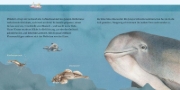 Buchcover und Innenansicht für das Buch: LESEMAUS 135: Der kleine Wal und das Meer