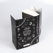 Buchcover und Innenansicht für das Buch: The Witches of Silent Creek 2: Zweites Herz